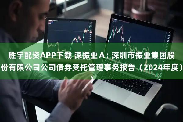 胜宇配资APP下载 深振业Ａ: 深圳市振业集团股份有限公司公司债券受托管理事务报告（2024年度）