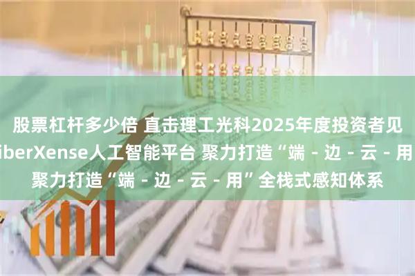 股票杠杆多少倍 直击理工光科2025年度投资者见面会：现场发布FiberXense人工智能平台 聚力打造“端－边－云－用”全栈式感知体系